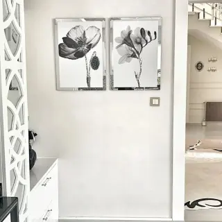 Siyah Beyaz Gelincik Çiçek Pleksi Çerçeveli Tablo