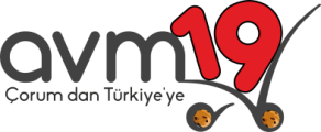 Avm19